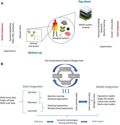 Specialty Grand Challenge: Data and Model Integration in Systems Biology